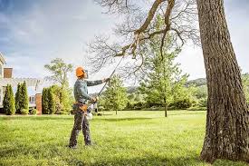 Best Sod Installation  in Minersville, PA